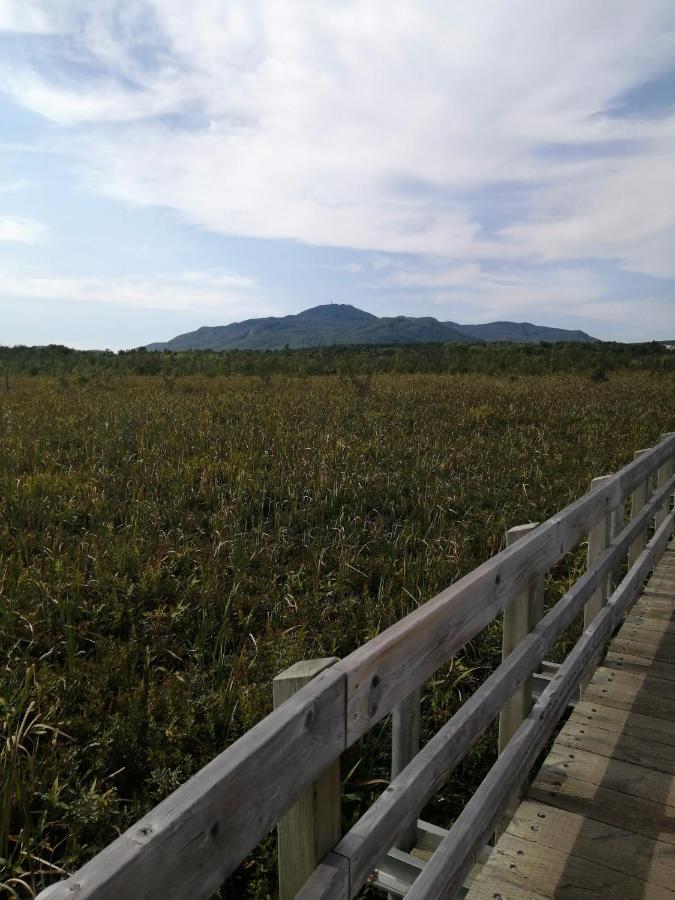 O'Berge Du Village A302 Magog Екстериор снимка